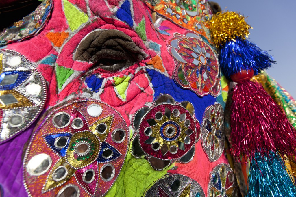 Decorated elephant at the elephant festival in Jaipur.