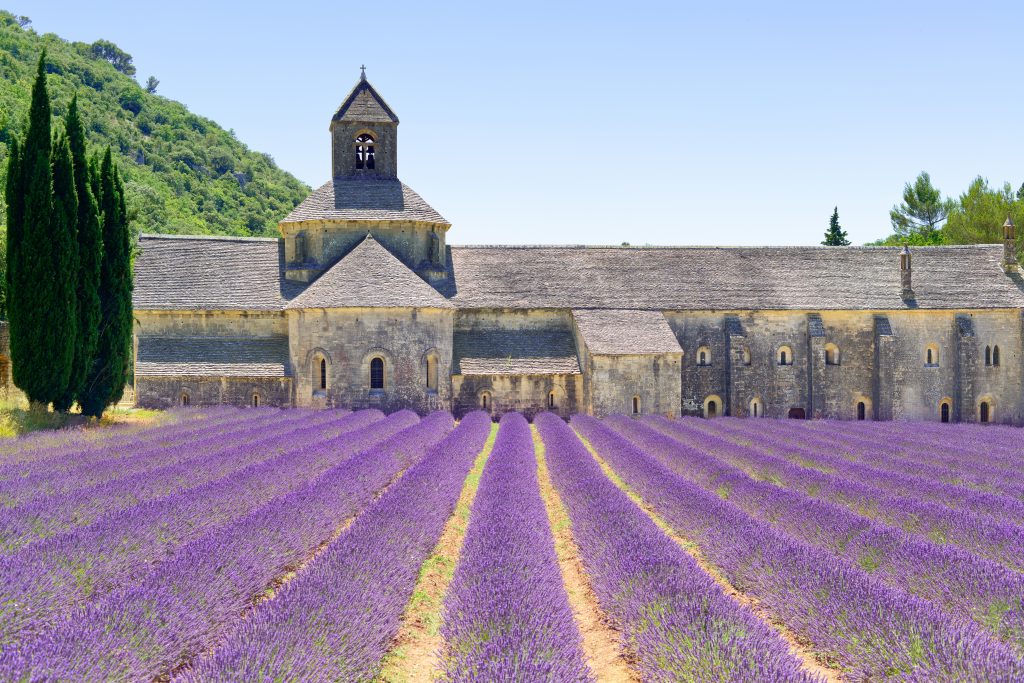 Abbey,Of,Senanque,And,Blooming,Rows,Lavender,Flowers.,Gordes,,Luberon,
